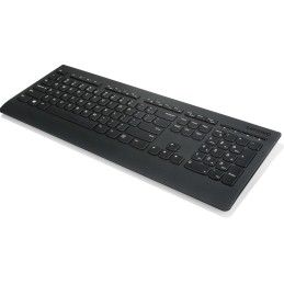 Lenovo Professional -...